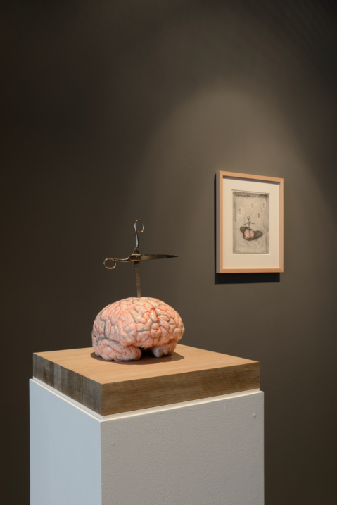 Do we feel with our brain and think with our heart ?
