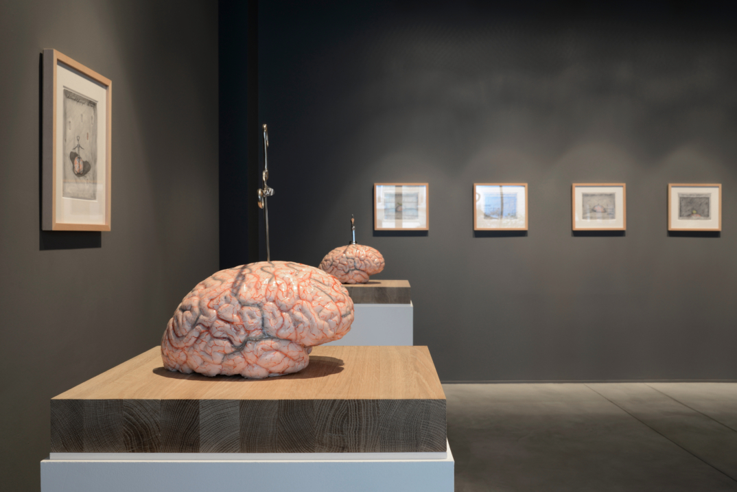 Do we feel with our brain and think with our heart ?