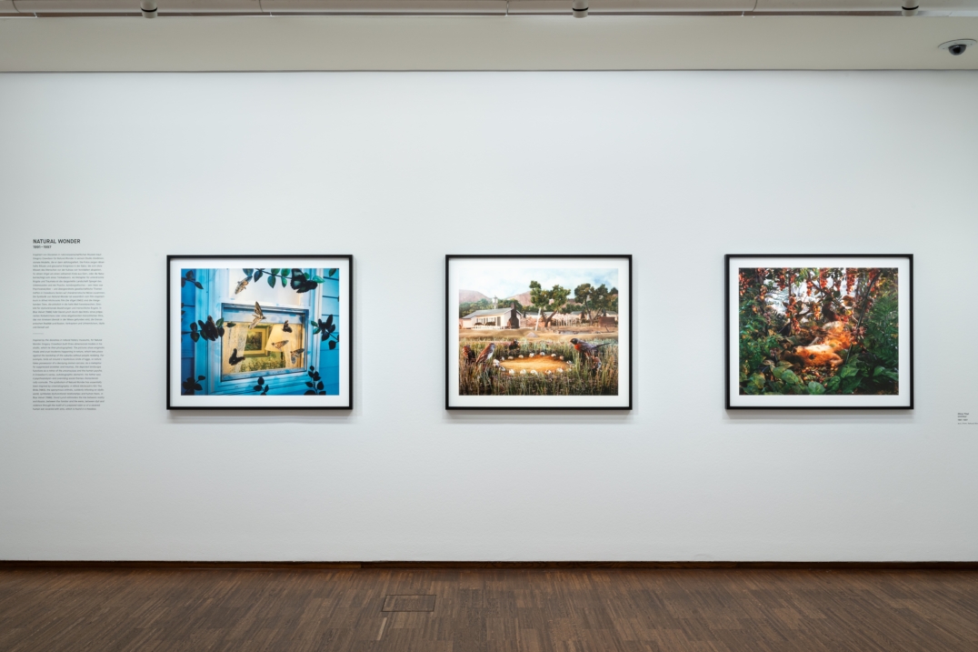 Retrospective – Vienna