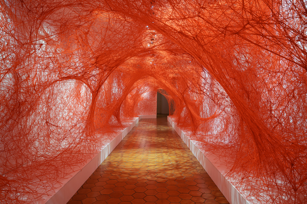 Beyond Consciousness – Biennale d’Aix