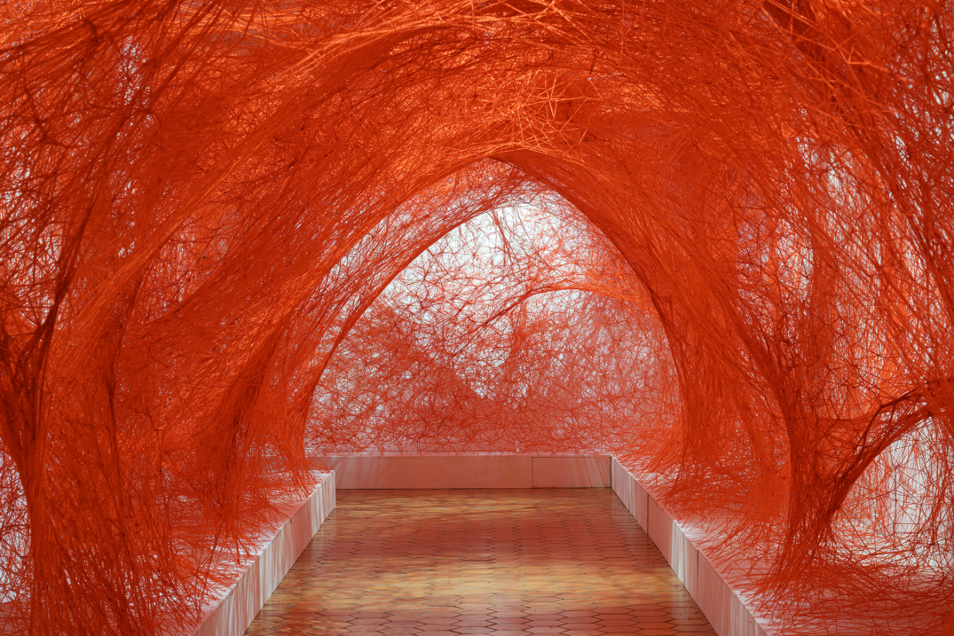 Beyond Consciousness – Biennale d’Aix