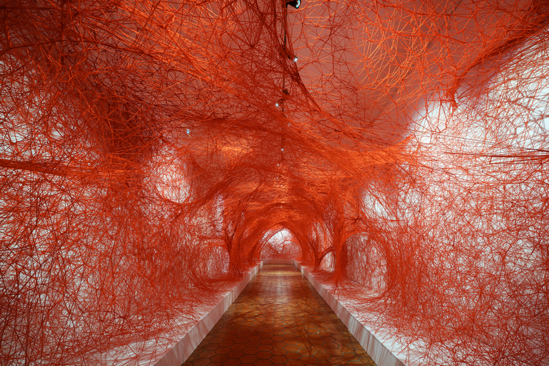 Beyond Consciousness – Biennale d’Aix