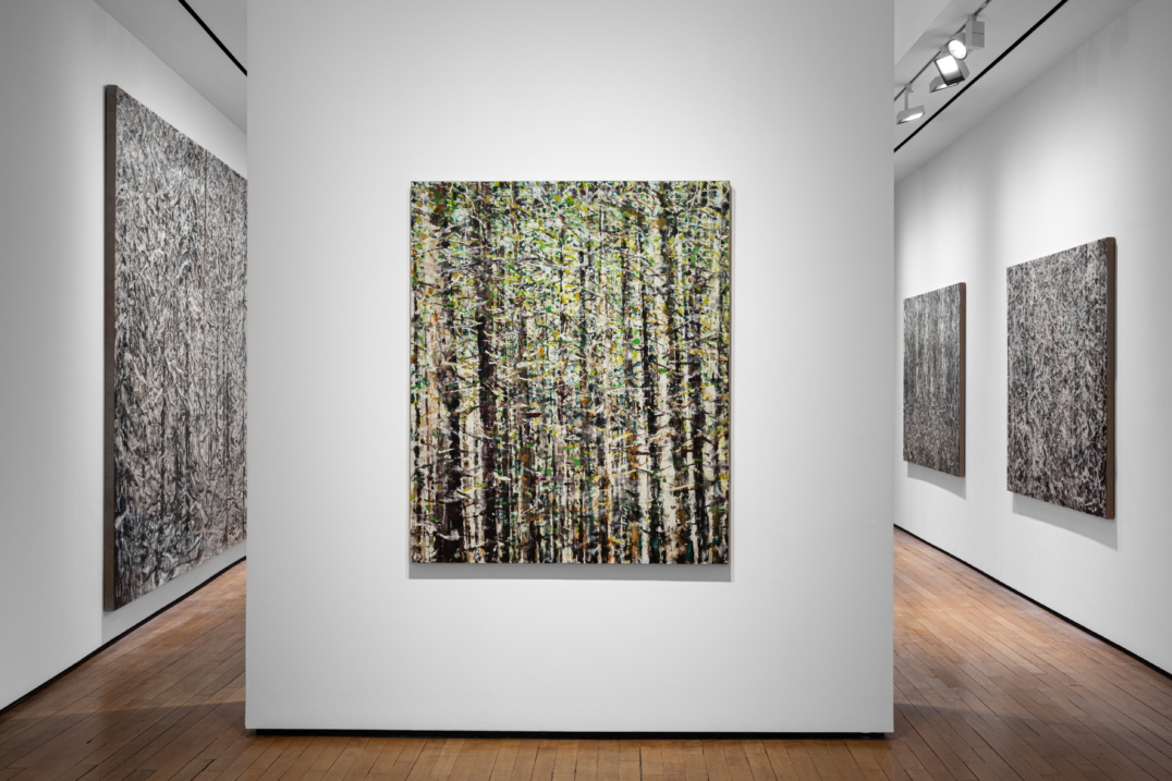 Fragmented Landscapes