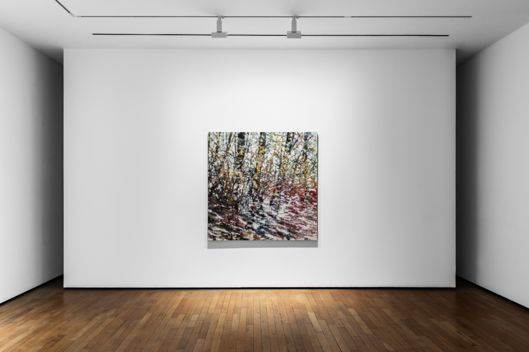 Fragmented Landscapes