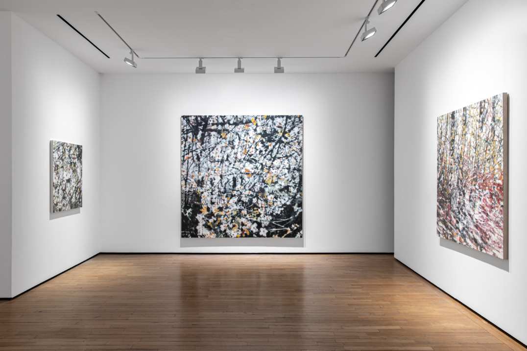 Fragmented Landscapes