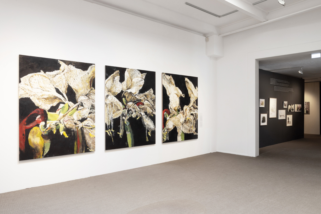 L’œuvre du temps – Musée Paul Valéry