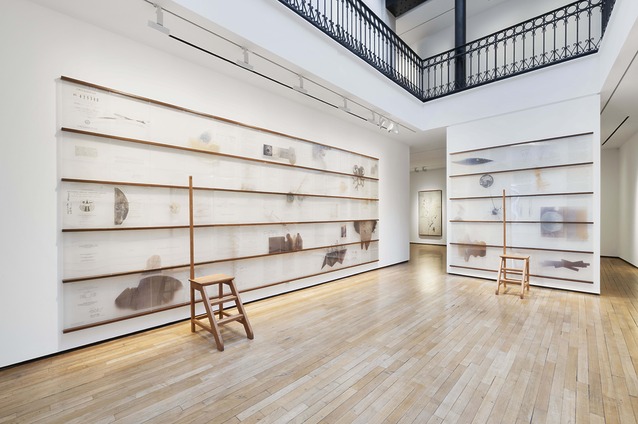 Exhibition view of Point of Incidence by Jitish Kallat. The artwork Lunar Redux covers all three walls of the room.